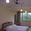 Goan Clove, India, Goa